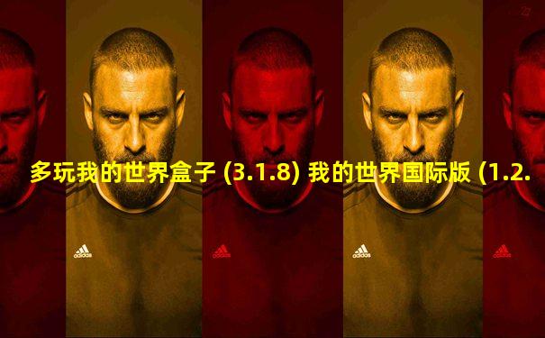 多玩我的世界盒子 (3.1.8) 我的世界国际版 (1.2.11.4)
